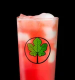 WATERMELON BREEZE